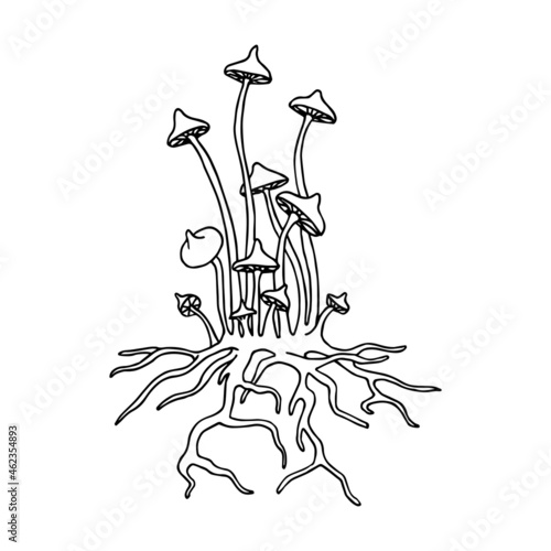 a group of forest poisonous mushrooms, toadstools or honey agaric, an ingredient for witch potions, vector illustration with black contour lines isolated on a white background in a doodle style