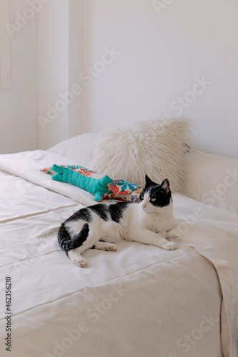 Gato blanco y negro recostado en cama con cobertor blanco mirando a a izquierda