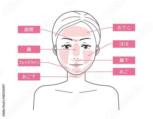 女性の顔　脱毛箇所　 ベクターイラスト