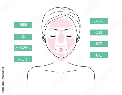 女性の顔　脱毛箇所　 ベクターイラスト