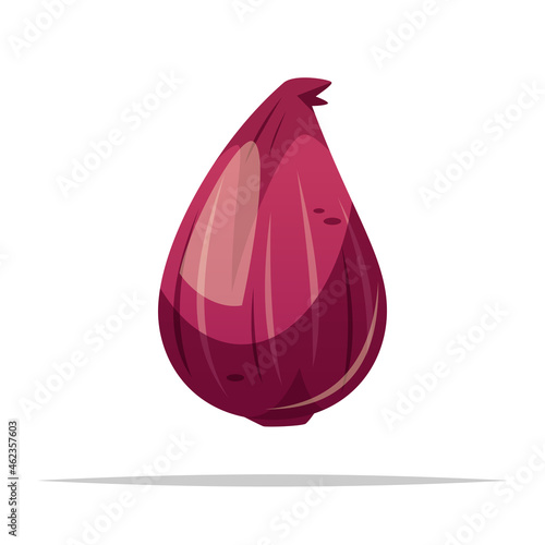 Single shallot vector isolated illustration