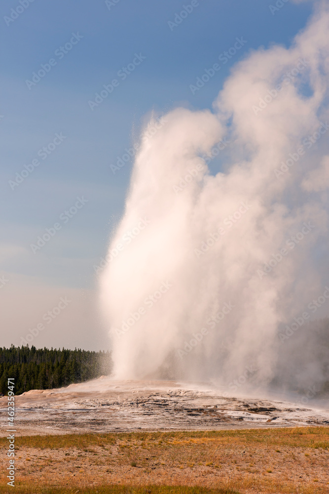 Geyser and hot spring in old faithful basin in Yellowstone National Park in Wyoming