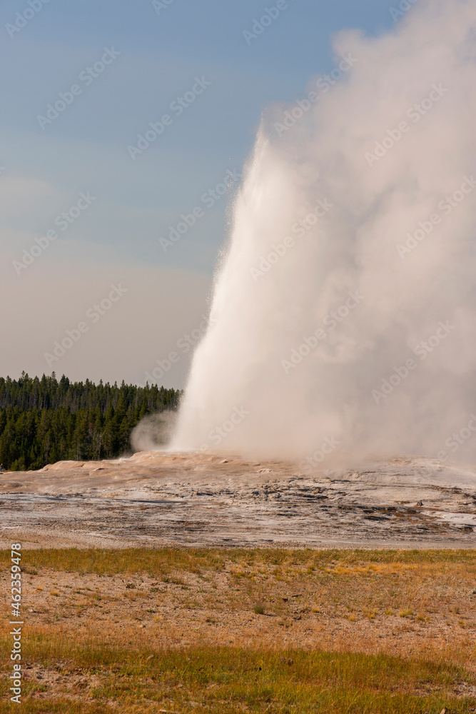 Geyser and hot spring in old faithful basin in Yellowstone National Park in Wyoming Geyser and hot spring in old faithful basin in Yellowstone National Park in Wyoming