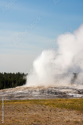 Geyser and hot spring in old faithful basin in Yellowstone National Park in Wyoming