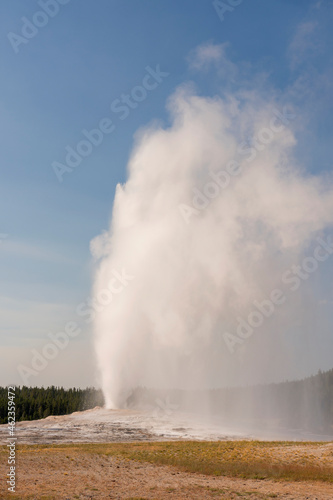 Geyser and hot spring in old faithful basin in Yellowstone National Park in Wyoming