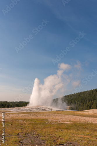 Geyser and hot spring in old faithful basin in Yellowstone National Park in Wyoming