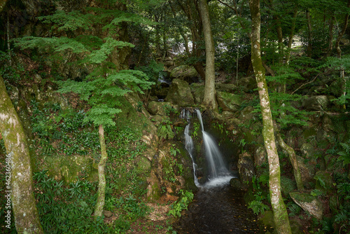 Fototapeta Naklejka Na Ścianę i Meble -  岐阜公園内にある小さい滝