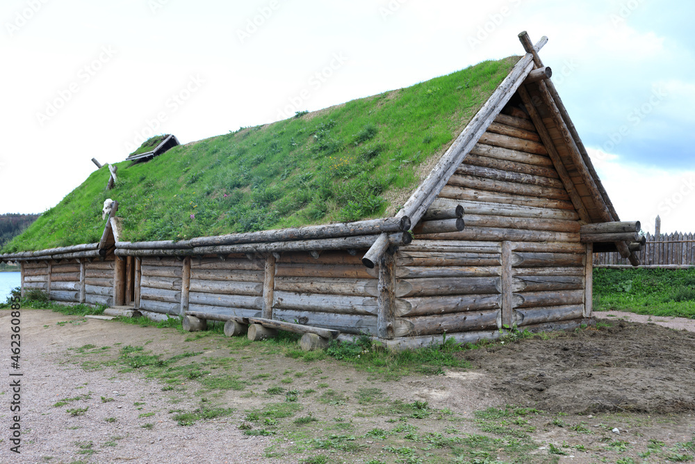 Viking house with grass roof