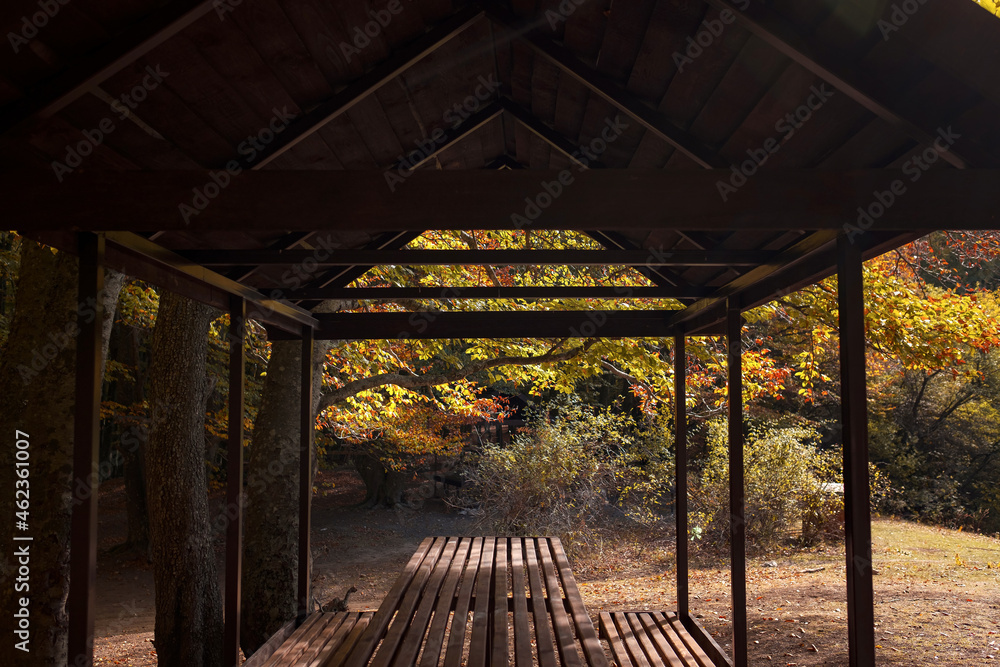 Empty small picnic pavilion or gazebo with table on in the woodland. Vivid morning in colorful forest with sun rays through branches of trees. Scenery of nature with sunlight