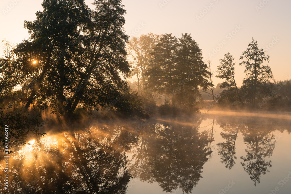 Naklejka premium Jesienny pejzaż nad wodą. Mgły, drzewa, promienie słońca, rzeka. Staw w Białej na rzece Czerniawce, Gmina Zgierz