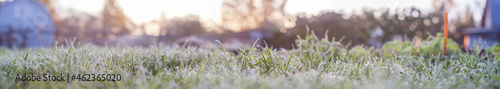 Landscape panorama frozen grass branch in winter. Banner frame of froze lush green grass with ice crystals on natural blurry bokeh natural background. Close-up, wide format, copy space.