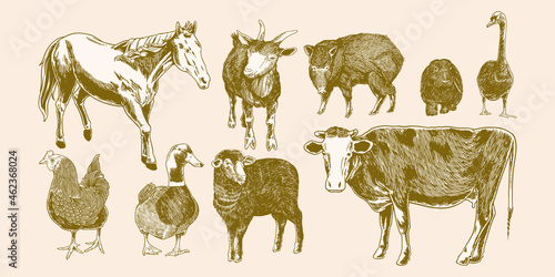 Farm animals set. Horse, wi...