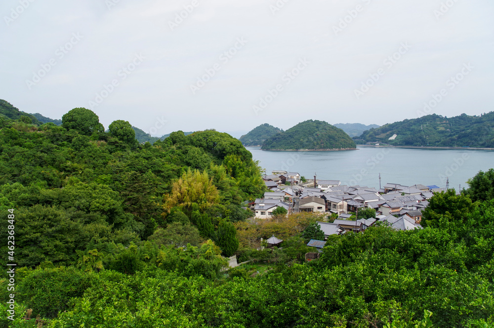 Fototapeta premium 展望台から見る御手洗の街並みと周辺の島々