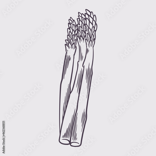 Spinach Hand drawn ink sket...