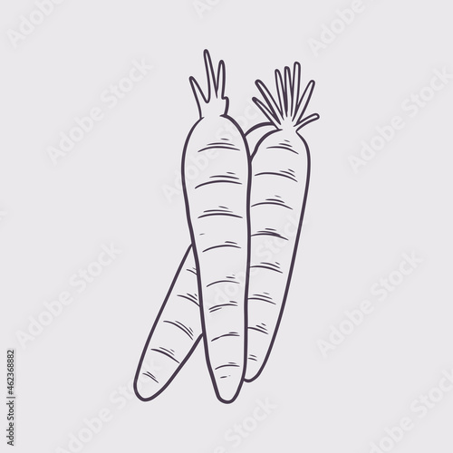 Hand drawn carrot. Organic ...