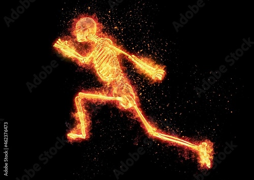 走る人体骨格のイラスト