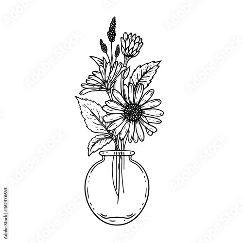 Vector bouquet of daisies in a round transparent vase. Linear detailed illustration.