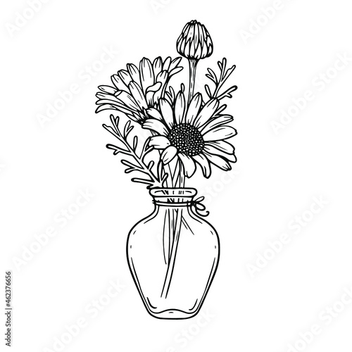 Vector bouquet of daisies in a transparent vase. Linear detailed drawing.
