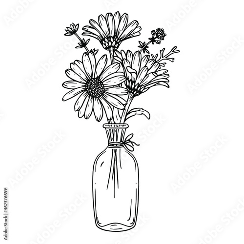 Vector illustration in sketch style with a bouquet of daisies in a bottle.