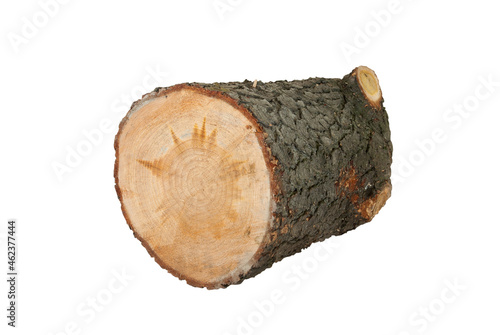 large round log
