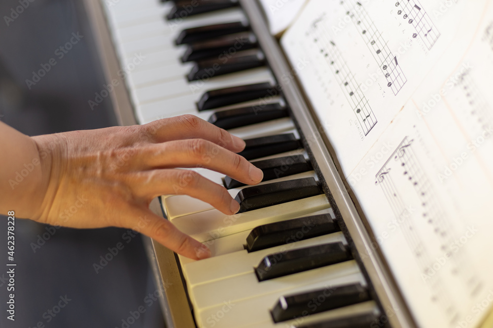 Fototapeta premium オルガンを弾く