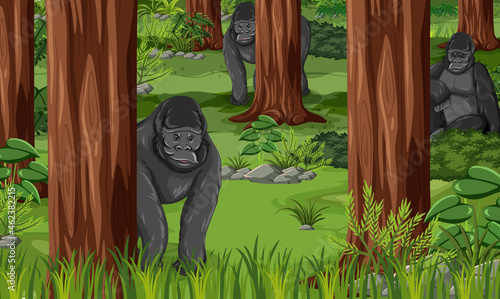 Photography Wild animals in forest landscape background