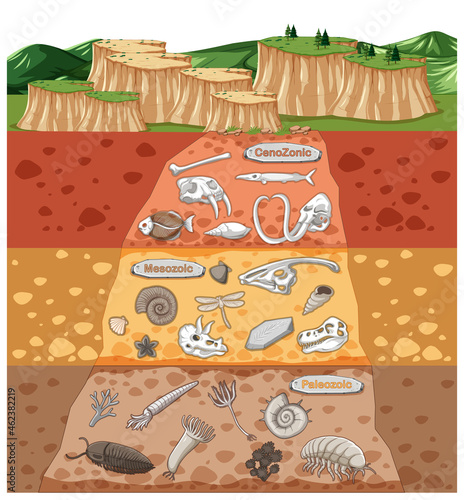 Scene with various animals bones and dinosaurs fossils in soil layers photo