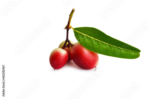 Miracle fruit tree is a herbal fruit.