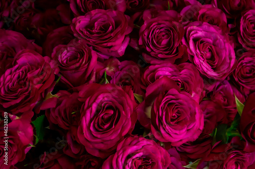 Lots of dark pink roses. Nature  bouquet  natural background