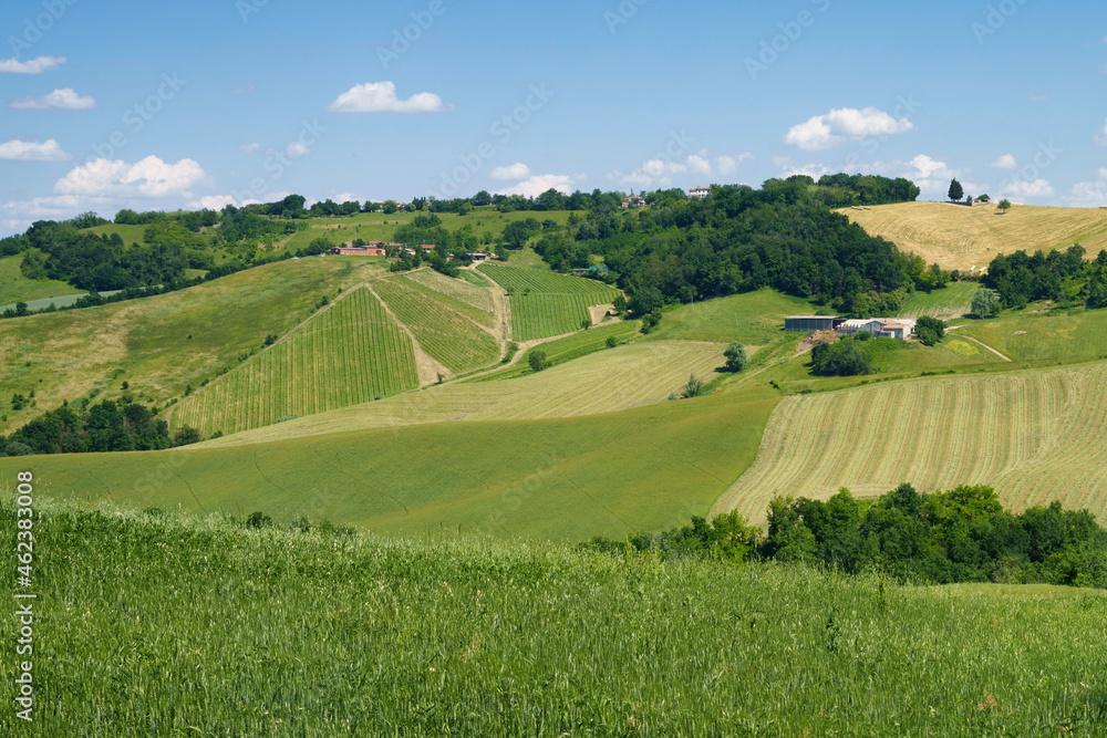 Rural landscape near Sala Baganza and Torrechiara, Parma, at springtime