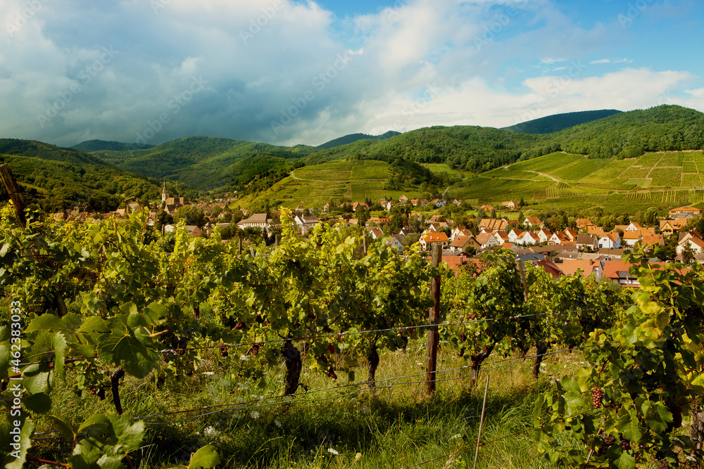 Alsace village in summertime