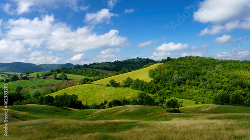 Rural landscape near Salsomaggiore  Parma  at springtime