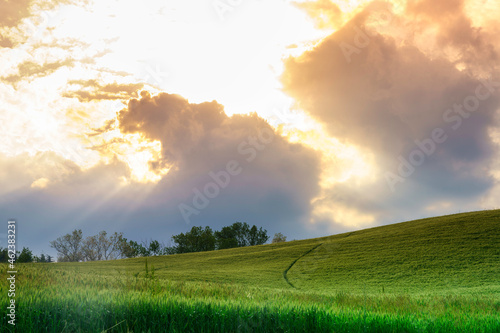 Rural landscape near Salsomaggiore  Parma  at springtime