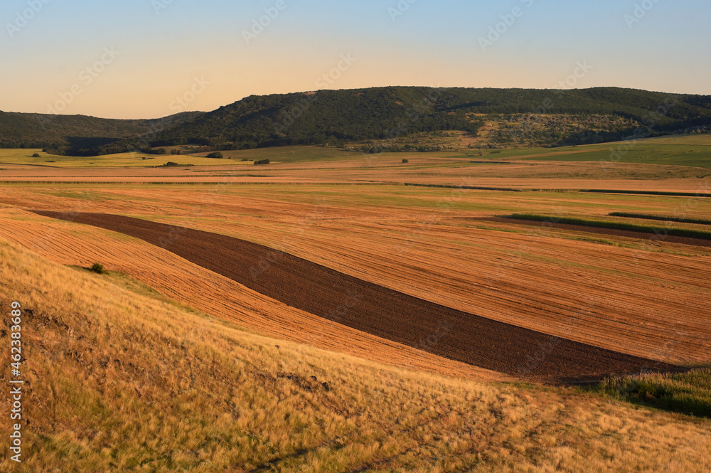  View Of Yellow And Green Fields in Macin, Romania