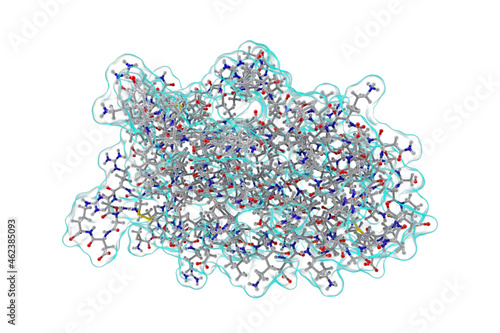 Molecular model of human erythropoietin photo