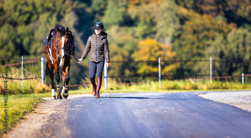 Your rider will lead you saddled along a road, photographed from the front on the left side of the road.. © RD-Fotografie