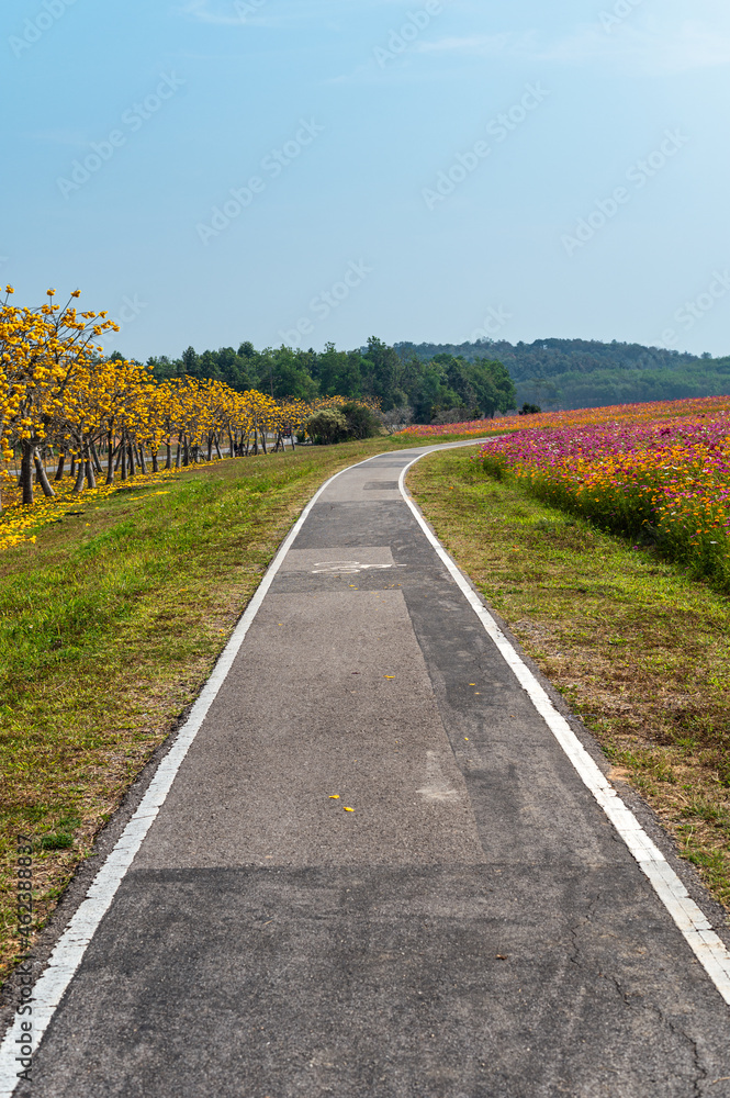 Bicycle track with bike symbol on asphalt among the flower garden