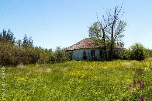 Old village house in the village on a summer day in a field