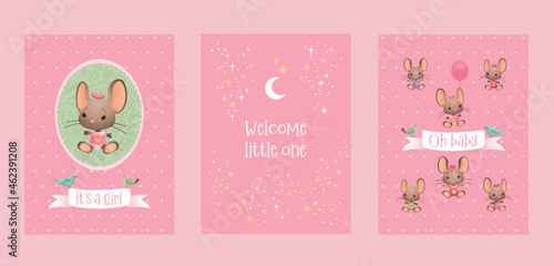 Set of pink baby shower invitations and thanks cards