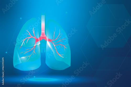 Lung banner vector for respiratory system smart healthcare photo