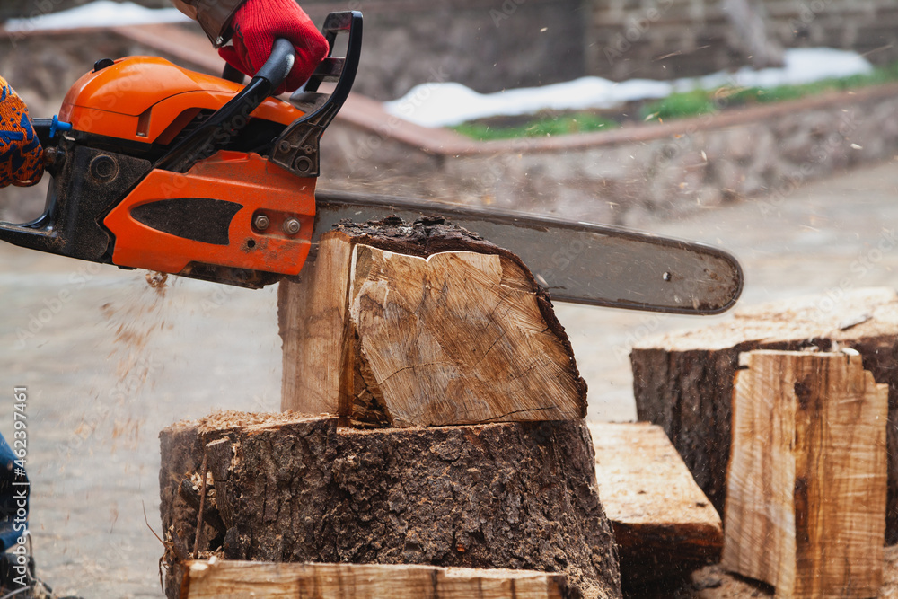 Chainsaw hands sawing large piece of wood