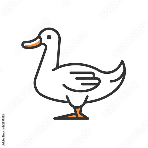 Domestic duck RGB color icon. Poultry farming industry. Domestic bird raising for meat, eggs and down. Commercial duck growing. Isolated vector illustration. Simple filled line drawing