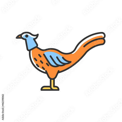 Male pheasant RGB color icon. Commercial poultry farming for food. Ringneck cock. Domestic bird raising. Long feathered tail. Isolated vector illustration. Simple filled line drawing