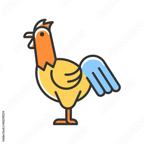 Rooster RGB color icon. Cocks husbandry. Commercial chicken raising. Growing livestock industry. Domestic landfowl. Young cockerel. Isolated vector illustration. Simple filled line drawing