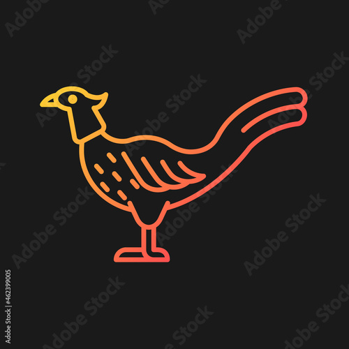Male pheasant gradient vector icon for dark theme. Commercial poultry farming. Domestic bird raising. Feathered tail. Thin line color symbol. Modern style pictogram. Vector isolated outline drawing