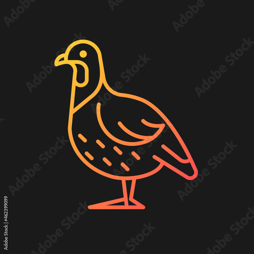 Partridge gradient vector icon for dark theme. Small domestic fowl. Commercial poultry raising. Grey landfowl breed. Thin line color symbol. Modern style pictogram. Vector isolated outline drawing