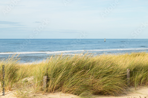 View of the sea from the top of a dune covered with marram grass.