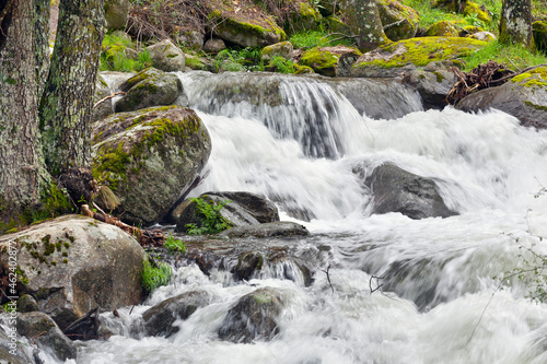 Rio Iruelas. Sierra de Gredos. Avila. Espa  a. Europa