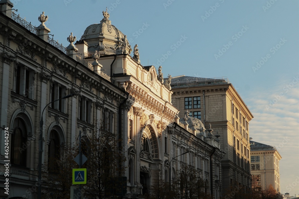 Obraz premium Dark Academia