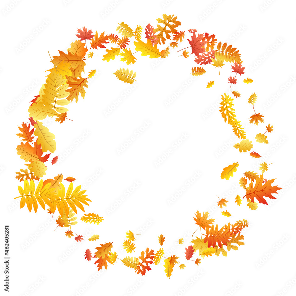 Oak, maple, wild ash rowan leaves vector, autumn foliage on white background. Oak, maple, wild ash rowan leaves vector, autumn foliage on white background.